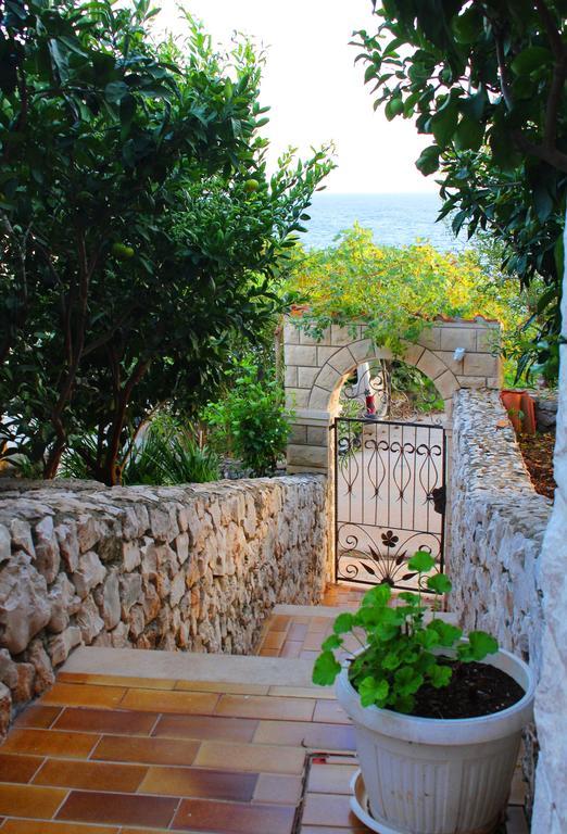 Apartments Doris زافالاتيكا المظهر الخارجي الصورة